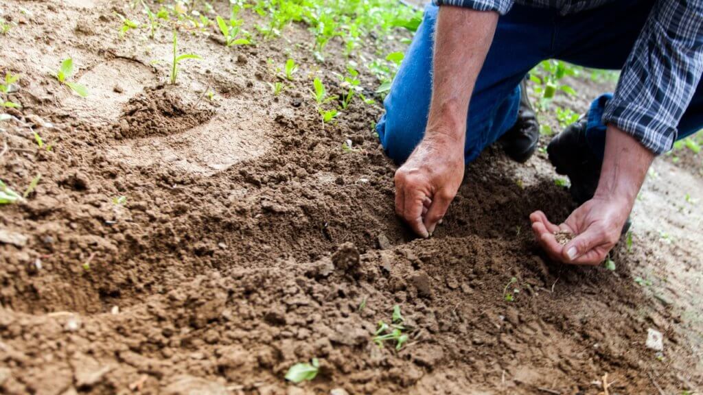 Overcoming Poverty: Keys to Flourishing